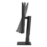 ASUS LCD 24" MH2441A Clinical Monitor, 2560x1440, Flat, 5ms, Antibacterial, Pivot, Ergonomic, HDMI, DP, VESA