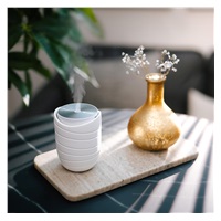 TrueLife AIR Diffuser WL5