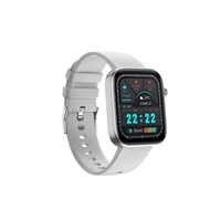 CARNEO Zenith HR+ silver