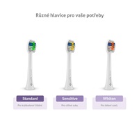 TrueLife SonicBrush Compact Duo Black / Lavender