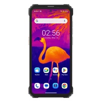 Rugged Smartphone Blackview BV8900 4G P90 8GB 256GB 10000-33W A13-D3, Thermal, Black [No Charger]
