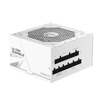 GIGABYTE zdroj UD750GM PG5 ICE 750W, 120mm, Plně modulární, 80 Plus Gold, ATX 3.1