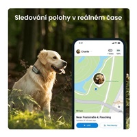Tractive GPS DOG XL – Adventure Edition