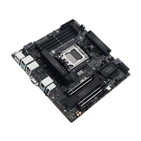 ASUS MB Sc AM5 Pro WS B850M-ACE SE, AMD B850, 4xDDR5, 1xHDMI, 1xDP, 1xVGA, mATX