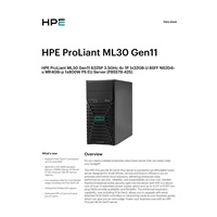 HPE PL ML30 gen11 6325P (3.5G/4C8T) 1x32G 8SFF NS204i-u(2x480g) MR408i-p 2x800W 3/1/1 Smart Choice