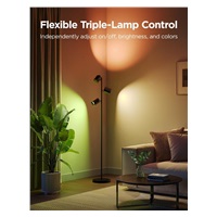 Govee Tree Lamp RGBICWW stojací lampa Matter