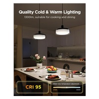 Govee Pendant Light RGBICWW závěsná lampa Matter