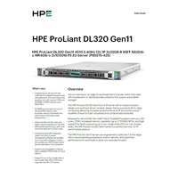 HPE PL DL320g11 4510 (2.4/12C) 2x32G (p64706) NS204(2x480) MR408i-o 8SFF 2x1000W 2p1G Smart Choice