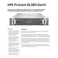 HPE PL DL380g11 4510 (2.4G/12C) 2x32G (p64706) 1x7.68TB NVMe 2x1000W 8SFF 4p1G Smart Choice