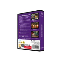 Evercade NEOGEO Arcade 2