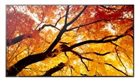 SHARP M502, LCD 50" Message Large Format Display, 24/7, 3840 x 2160, 500 [cd/m2]