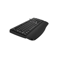 GENIUS Klávesnice KB-123, membránová, USB, CZ+SK layout, Copilot klávesa, Předložka, černá