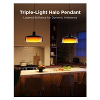 BAZAR - Govee Pendant Light RGBICWW závěsná lampa Matter - Poškozený obal (Komplet)