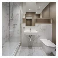 Livington WindowBuddy systém na čištění oken