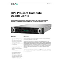 HPE PL DL380g12 6507P (3.5/8C) 2x32G (P69727) 2x480G MR408i-o 8SFF 2x1000W 10GbE NBD333 Smart Choice