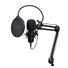 TRUST mikrofon GXT270 Emita II s nastavitelným ramenem, USB-C, černá