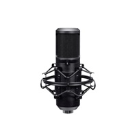 TRUST mikrofon GXT270 Emita II s nastavitelným ramenem, USB-C, černá