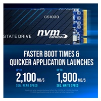 PNY SSD CS1030 500GB, PCIe Gen3x4, M.2 2280, (R:2500/ W:1100MB/s)