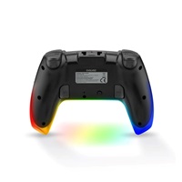 EVOLVEO Ptero2, bezdrátový & drátový gamepad pro PC, PS3/4/5, iOS, Android, Switch, černý