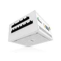 EVOLVEO G850, zdroj 850W, 80+ GOLD, ATX 3.1, aPFC, 140 mm ventilátor, plně modulární, záruka 3 roky, bílý