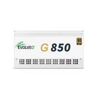 EVOLVEO G850, zdroj 850W, 80+ GOLD, ATX 3.1, aPFC, 140 mm ventilátor, plně modulární, záruka 3 roky, bílý