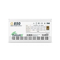 EVOLVEO G850, zdroj 850W, 80+ GOLD, ATX 3.1, aPFC, 140 mm ventilátor, plně modulární, záruka 3 roky, bílý
