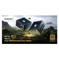 EVOLVEO G850, zdroj 850W, 80+ GOLD, ATX 3.1, aPFC, 140 mm ventilátor, plně modulární, záruka 3 roky, bílý