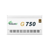 EVOLVEO G750 zdroj 750W, 80+ GOLD, ATX 3.1, aPFC, 140 mm ventilátor, záruka 3 roky, bílý