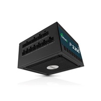 EVOLVEO P1200, zdroj 1200W, 80+ PLATINUM, ATX 3.1, aPFC, 140 mm ventilátor, plně modulární, 3 roky záruka, černý