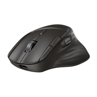 HP myš - HP Tilt Ergonomic Mouse 725M