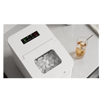 Salente IcePro, výrobník ledu