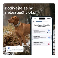 Tractive DOG 6 XL – Chytrý GPS lokátor pro psy se sledováním životních funkcí a zdravotními upozorněními, hnědý