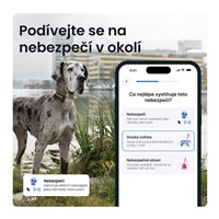 Tractive DOG 6 XL – Chytrý GPS lokátor pro psy se sledováním životních funkcí a zdravotními upozorněními, černý