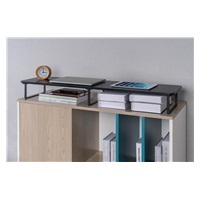 GEMBIRD Podstavec pod 2 monitory MS-TABLE2-01, černý