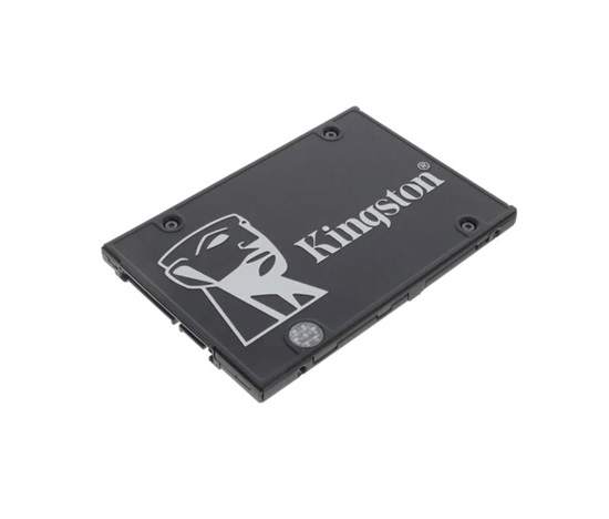 Kingston SSD Industrial i-Temp 256GB SATA 2.5" (R:550, W:500MB/s)