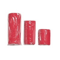 Lékárnička Survival First Aid Kit Pet (CZ)