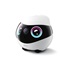 Enabot EBO Mini Sport Robotický společník