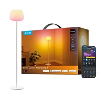 BAZAR - Govee Lantern RGBICWW stojací lampa, Matter - Poškozený obal (Komplet)