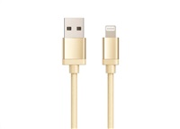 WG - Datový kabel Lightning MFI na USB-A, 1 metr, zlatá