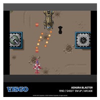 Evercade Visco Arcade 1