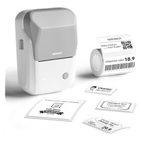 BAZAR - Niimbot Tiskárna štítků B1 Smart, grey + role štítků 210ks - Poškozený obal (Komplet)