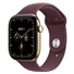 Apple Watch Series 12 GPS + Cellular 42mm Radiant Gold Titanium Case with Burgundy Sport Band - M/L