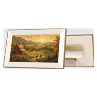 Lexar Pexar Digital Picture Frame 15,6" Starlight