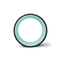 Chirp Wheel+ 10"