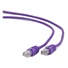 GEMBIRD UTP Cat5e Patch kábel 0,25 m, fialový