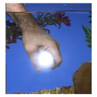 Tac Light - robustní a výkonná kapesní svítilna