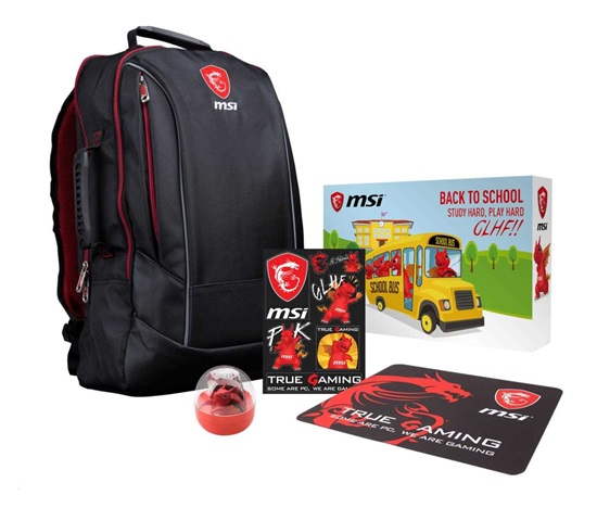 MSI ACC Y17 Dragon Fever Summer GE
