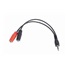 GEMBIRD Cable CABLEXPERT rozbočovací konektor 3,5 mm (4-pólový) na 2x3,5 mm M/F, 20 cm, čierny