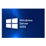 HPE Windows Server 2022 Standard Edition 16 Core CZ (cz en pl ru)